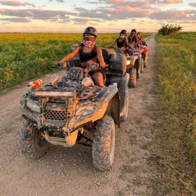 Miami Park Entrance Extreme ATV Riding Experience