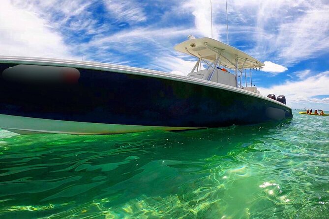Miami Private Boat Rental to Sandbars and More - Wildlife sightings are possible, not guaranteed