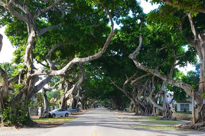 Miami Private City Tour Off The Beaten Path - Freedom Tower and Miami’s Cuban story