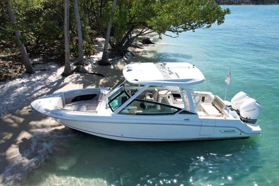 Miami: Private Star island, Miami Skyline & Miami River Tour - Practical Details Before You Book