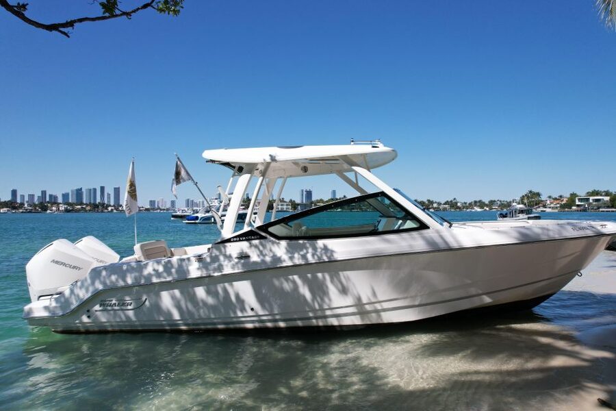 Miami: Private Star island, Miami Skyline & Miami River Tour - A Two-Hour Miami Cruise With Several Different Sides