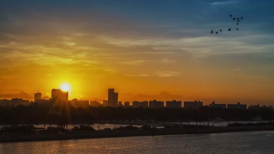 Miami: Private Sunset Helicopter Tour - Coconut Grove and Coral Gables from the Air