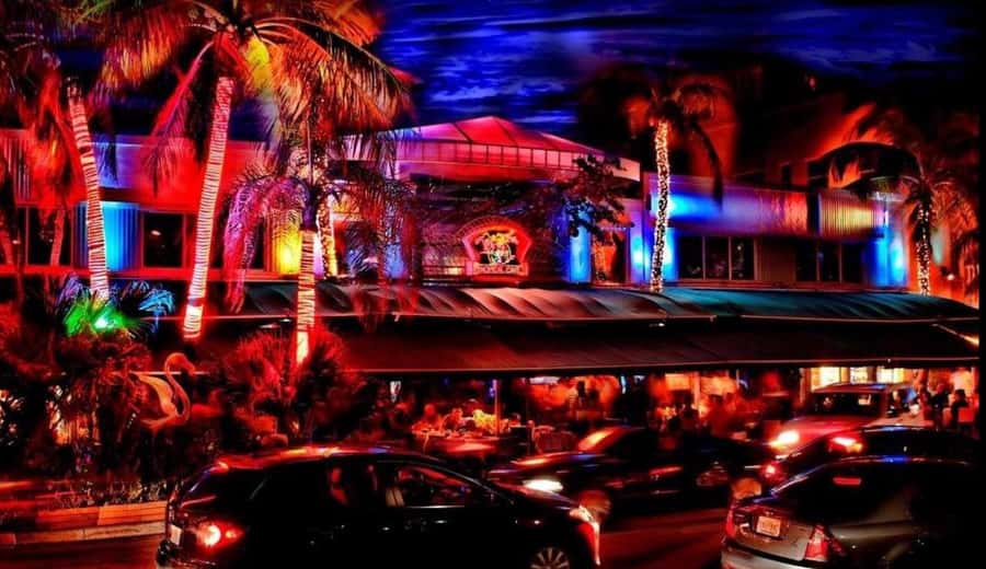 Miami Pub Crawl + Clubbing Experience - Ending at an Ocean Drive club