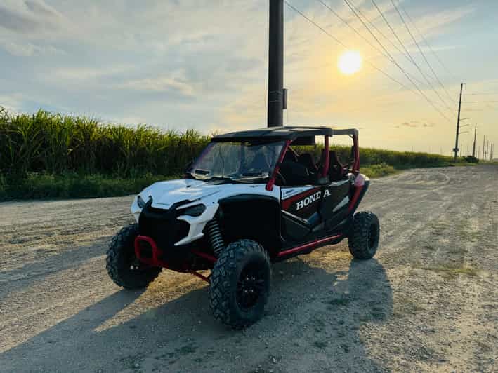 Miami's Ultimate Buggy Adventure on a Honda Talon UTV - The Sunflower Farm Photo Stop