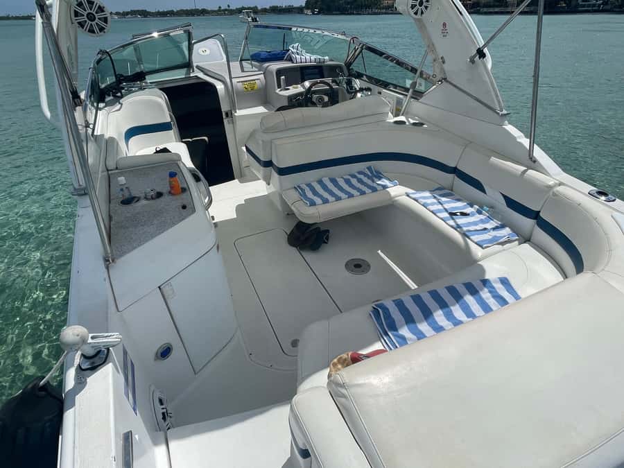 Miami: Sandbar, Billionare's & Raccoon Island Private Tour - Raccoon Island comes with a real warning