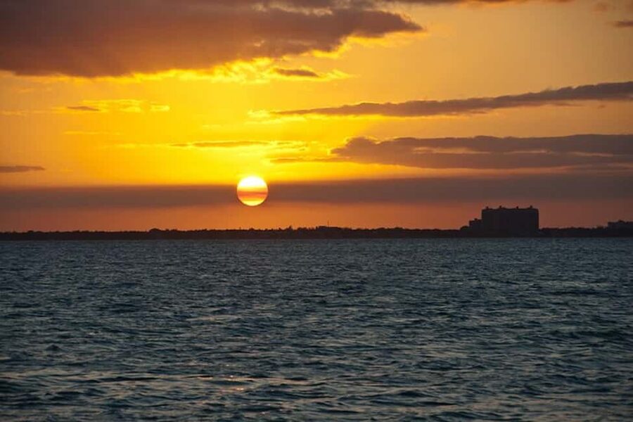 Miami Skyline Sightseeing Cruise and Millionaire Mansions - Boarding at Miami Aqua Tours