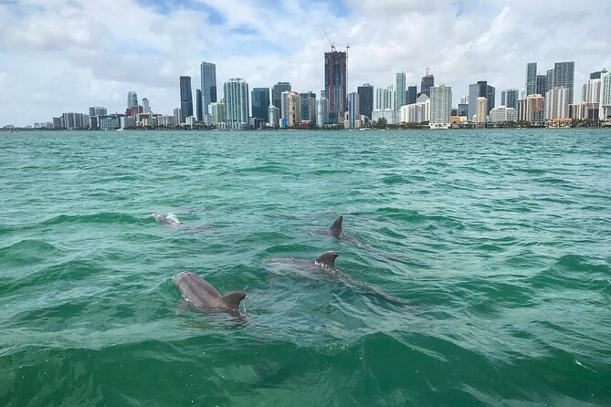 Miami Small Group Boat Tour: History, Wildlife, and Stiltsville - Miami’s waterfront, from the river to the port