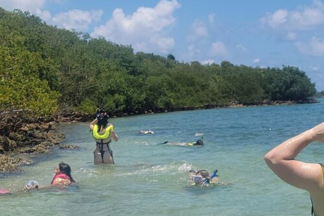 Miami: Snorkeling Adventure in Miami for Beginners Private Yacht - Meeting point, timing, and what to bring