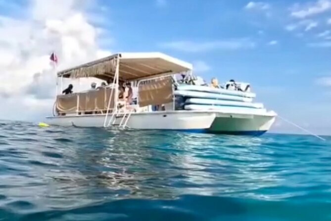 Miami: Snorkeling Experience - Weather is the biggest variable