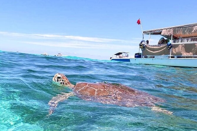 Miami: Snorkeling Experience - Is $199.99 per person good value?