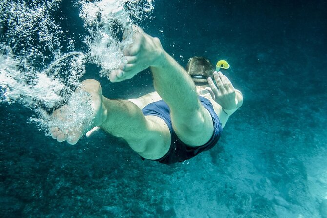 Miami: Snorkeling Experience - Cruising past Star Island and Miami’s skyline