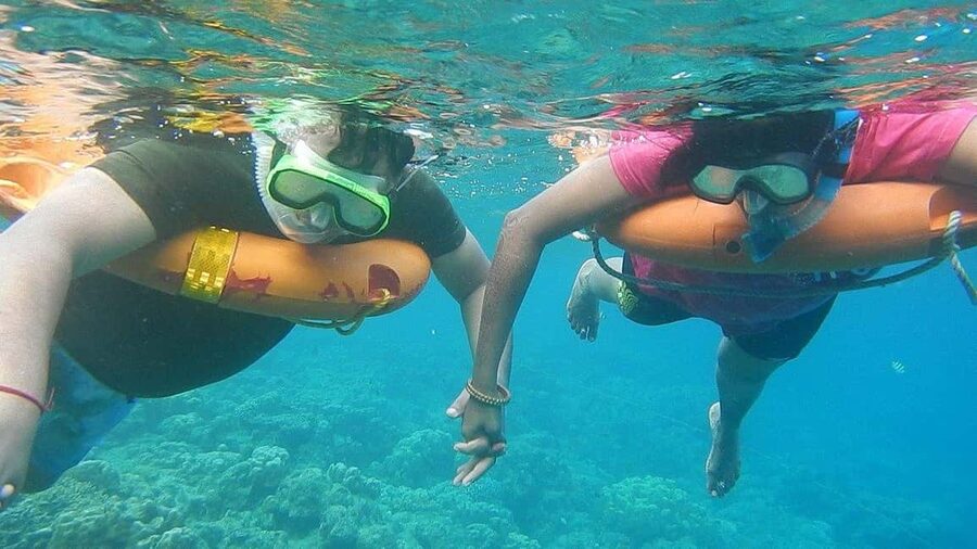 Miami Snorkeling for Beginners from Bayside Market Place - Key points before you book