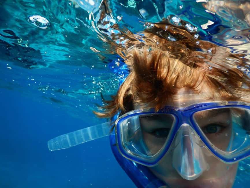 Miami Snorkeling for Beginners from Bayside Market Place - From Bayside Marketplace to Biscayne Bay