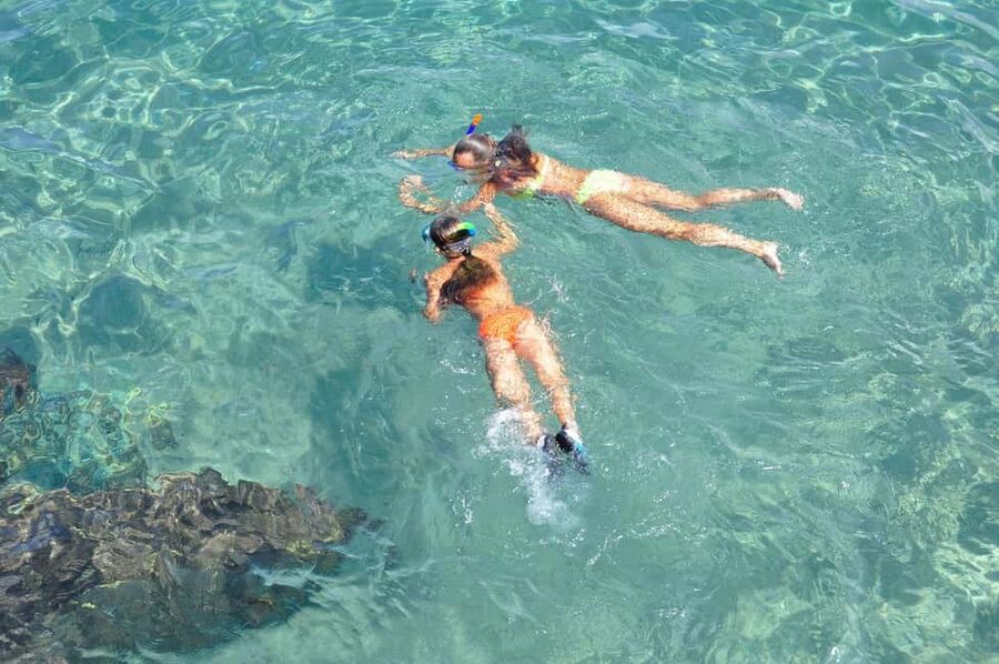 Miami Snorkeling for Beginners from Bayside Market Place - What beginner snorkeling is really like