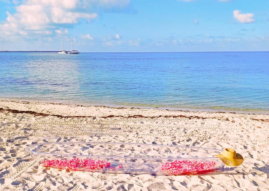 Miami/South Beach: Clear Kayak Photoshoot with Drone - Who will enjoy this, and who may not
