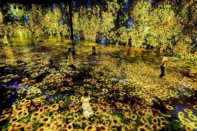 Miami: 'Superblue Miami' Immersive Art Experience Ticket - Massless Clouds: worth the extra cost?