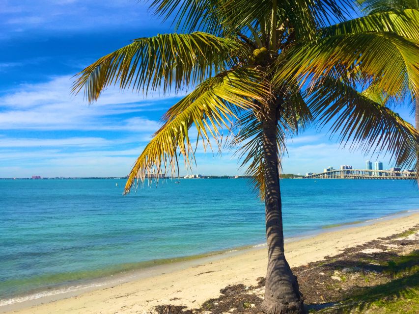 Miami: Windsurfing for Beginners and Experts - The beginner-friendly water is the real attraction