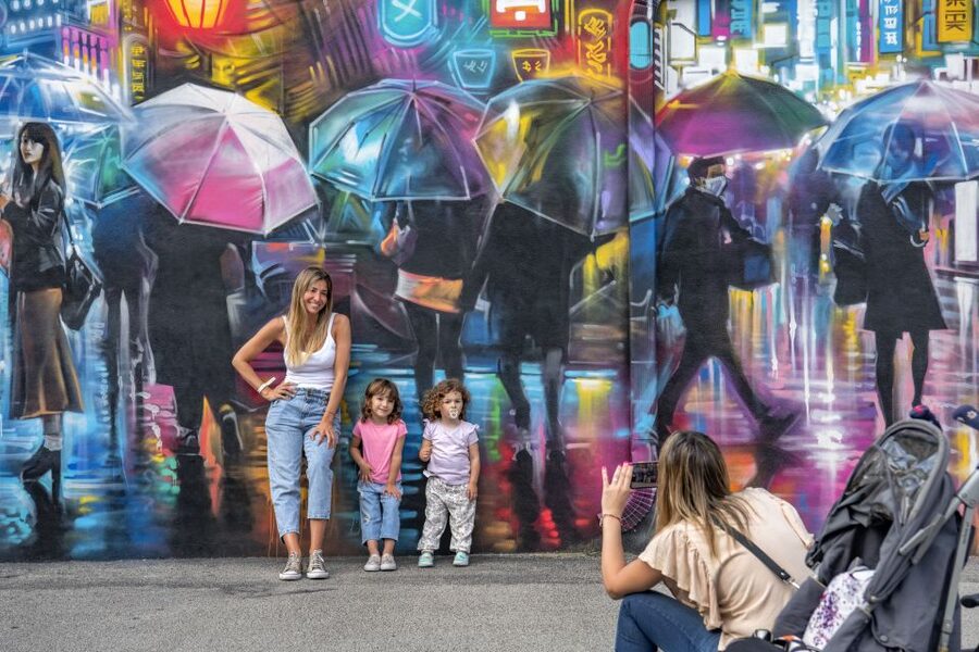 Miami: Wynwood Walls Skip-the-Line Ticket - Learning what the murals mean