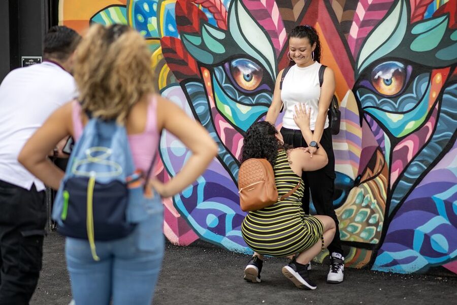 Miami: Wynwood Walls Skip-the-Line Ticket - Inside Goldman Global Arts Gallery