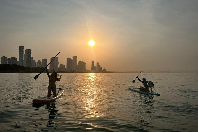 MORNING TOUR PaddleBoard or kayak - Why the flat-water bay matters