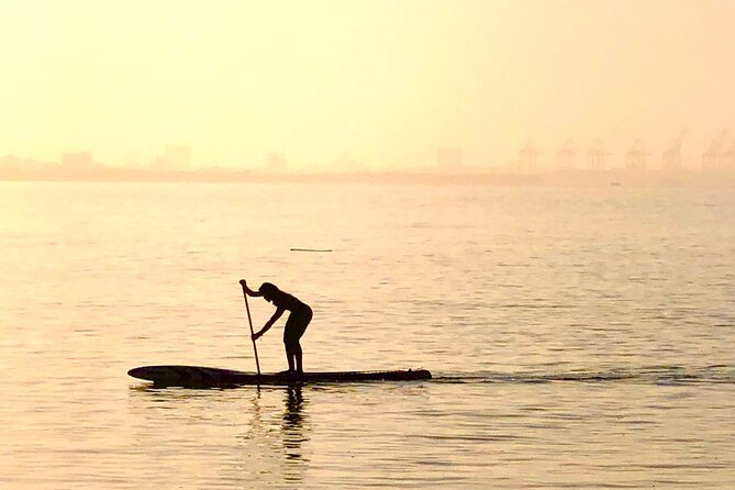MORNING TOUR PaddleBoard or kayak - Wildlife and views from the water