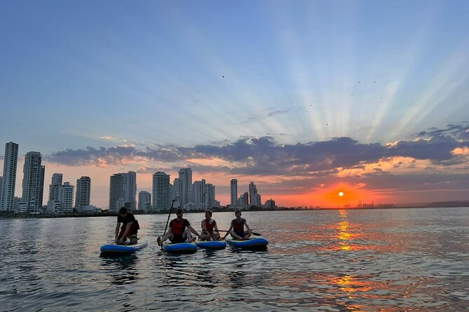 MORNING TOUR PaddleBoard or kayak - What the $50 price means