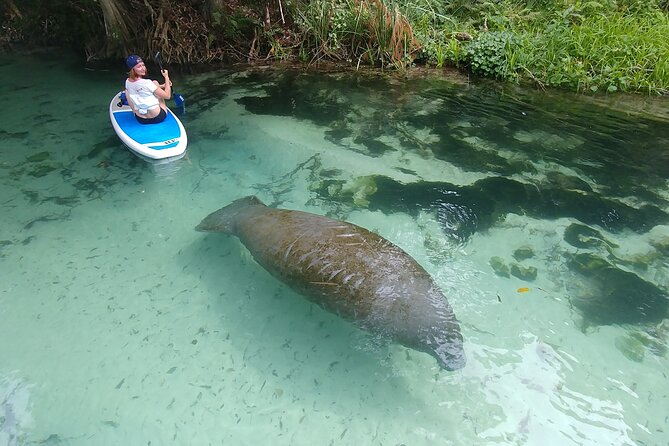 Nature & Island Exploration on SUP/Kayak - Key points to know before you book