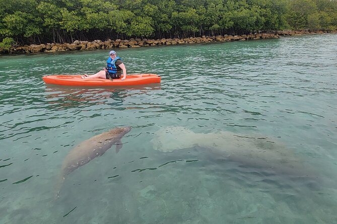 Nature & Island Exploration on SUP/Kayak - Choosing a kayak or stand-up paddleboard