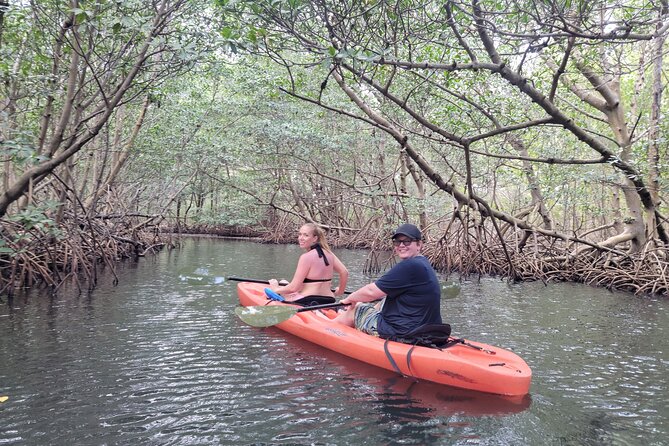 Nature & Island Exploration on SUP/Kayak - What the $99 price really buys