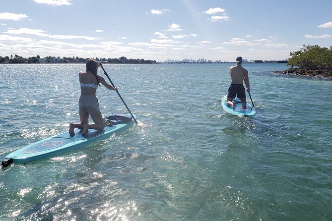 Nature & Island Exploration on SUP/Kayak - Quiet channels, roots, and open bay water