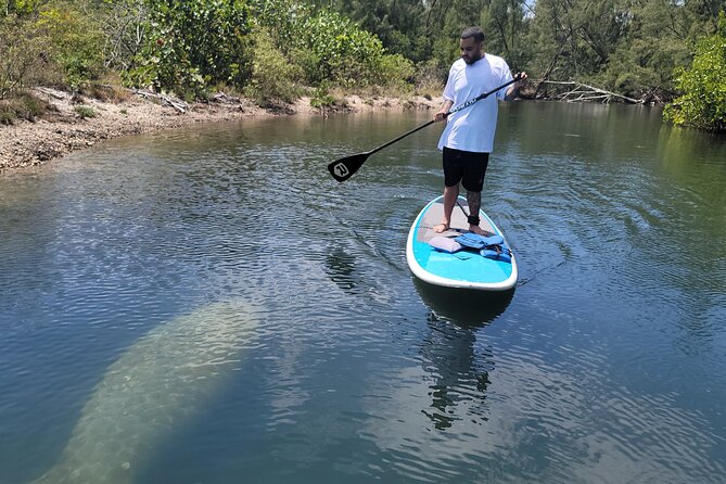 Nature Stand Up Paddle Boarding Experience in Miami - A Quiet Side of Miami at Oleta River State Park