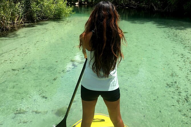 Nature Stand Up Paddle Boarding Experience in Miami - Through the Mangroves: The Best Part for Nature Lovers