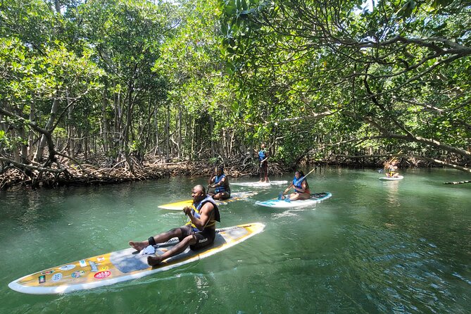 Nature Stand Up Paddle Boarding Experience in Miami - The Return Route Adds More Variety