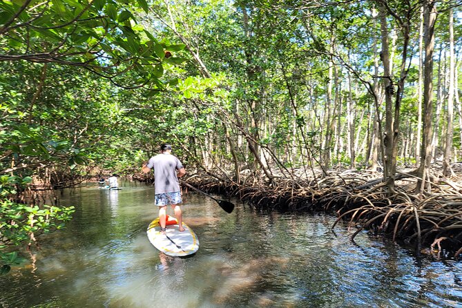 Nature Stand Up Paddle Boarding Experience in Miami - The First Ten Minutes: Getting Comfortable on the Board