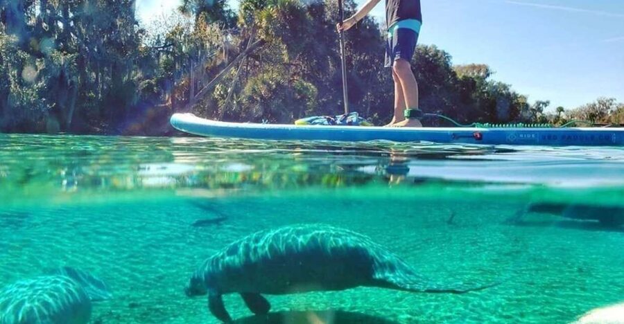 North Miami: Nature & Island Exploration on SUP/Kayak - Key points to know before you book