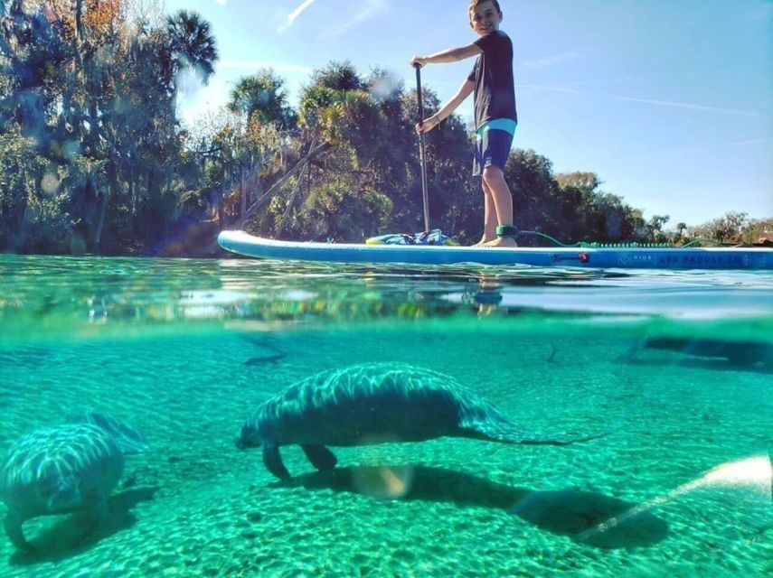North Miami: Nature & Island Exploration on SUP/Kayak - Why this feels different from a standard Miami boat trip