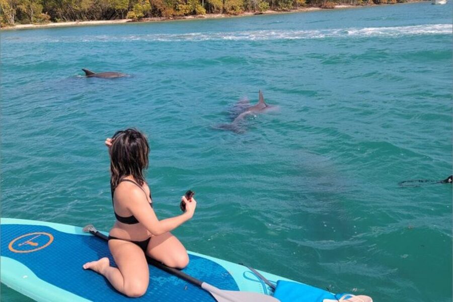 North Miami: Nature & Island Exploration on SUP/Kayak - Choosing between a kayak and a paddleboard