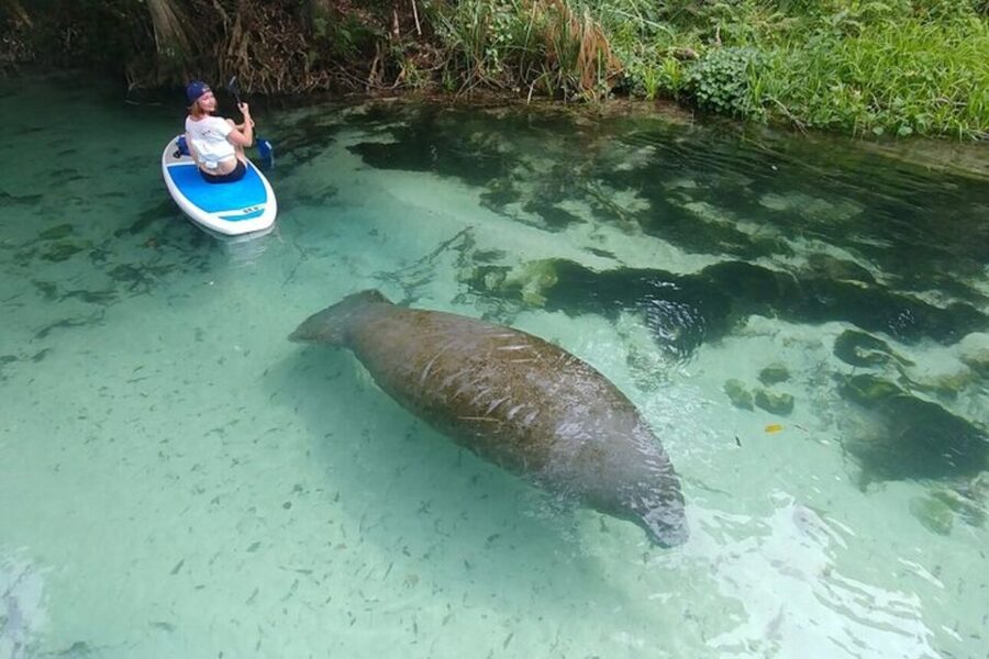 North Miami: Nature & Island Exploration on SUP/Kayak - The boat ride and changing weather