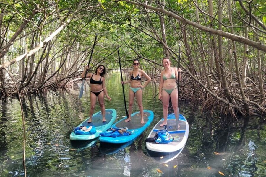 North Miami: Nature & Island Exploration on SUP/Kayak - Is the $99 price good value?