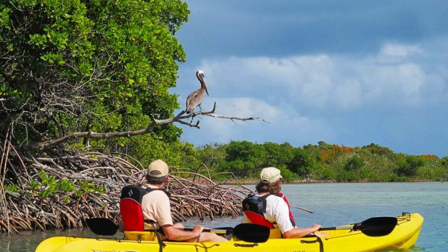 North Miami: Nature & Island Exploration on SUP/Kayak - Arriving at Venetian Marina and finding CATARIA