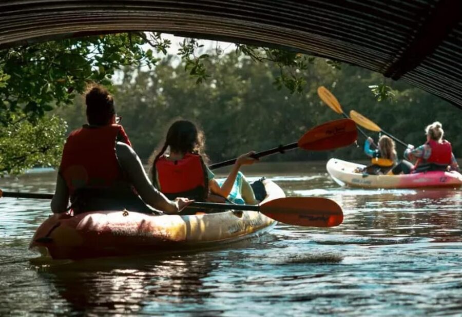 Oleta River State Park: Eco Kayak or Paddleboard Tour - What your 2.5 hours on the water may look like