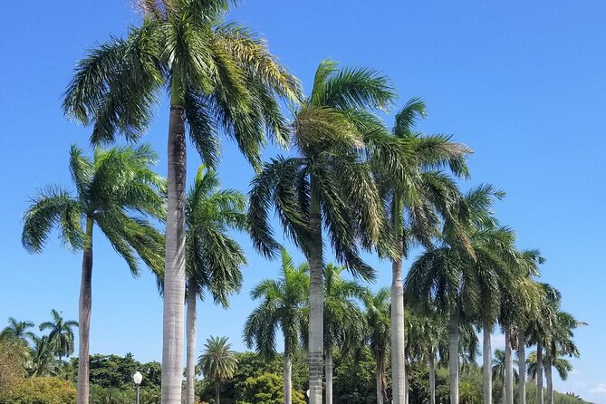 Palm Beach Tour from Miami - Flagler's Museum + Hotel Breakers - The 1.5-hour ride north from Miami