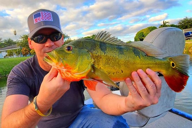 Peacock Bass Fishing Trips Near Key Largo - Weather, timing, and the few practical catches