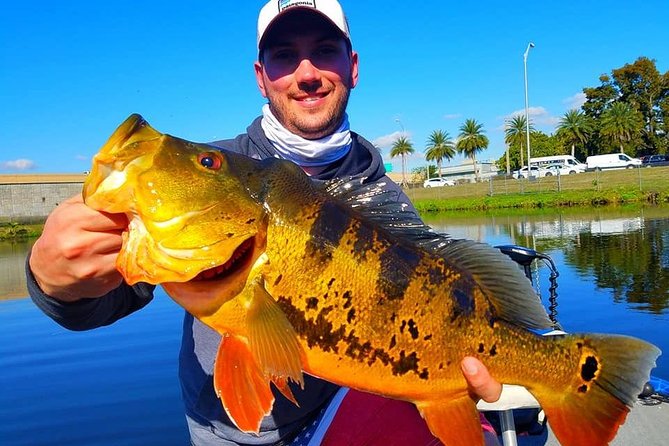 Peacock Bass Fishing Trips Near Miami Florida - Key details before you book