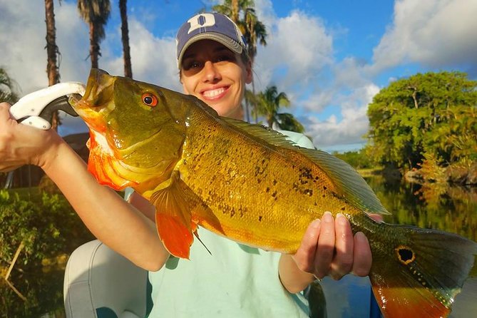 Peacock Bass Fishing Trips Near Miami Florida - What the captain adds to the day