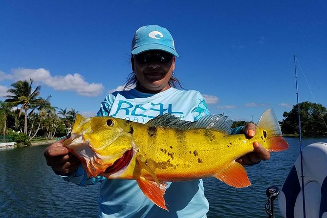 Peacock Bass Fishing Trips Near Miami Florida - Is $525 a fair price?
