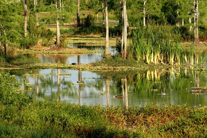 Private 4 Hour Everglades Tour with shared Airboat - What this Everglades outing is really like