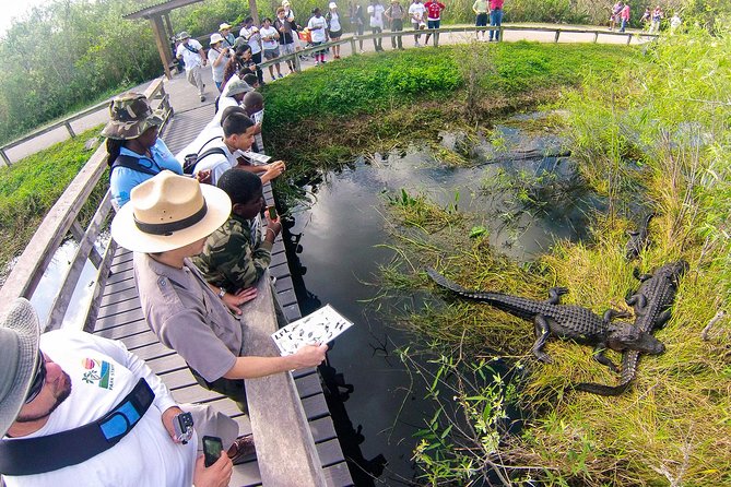 Private 4-hour Tour of Everglades from Miami Dade - What the private vehicle adds