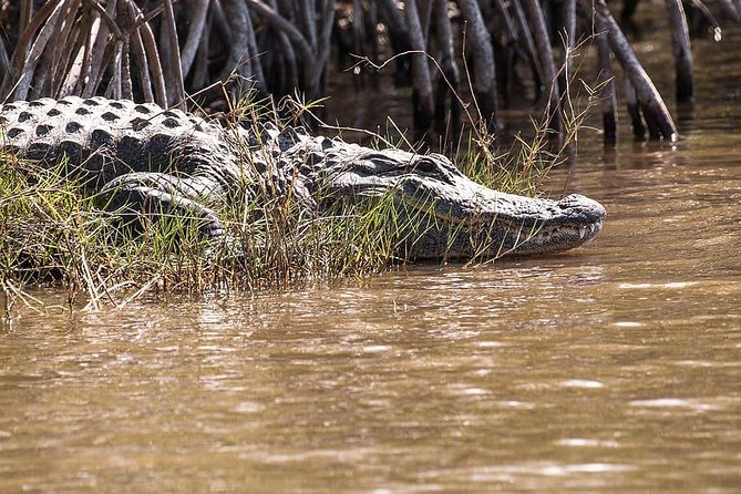 Private 4-hour Tour of Everglades from Miami Dade - A note about the exact Everglades location