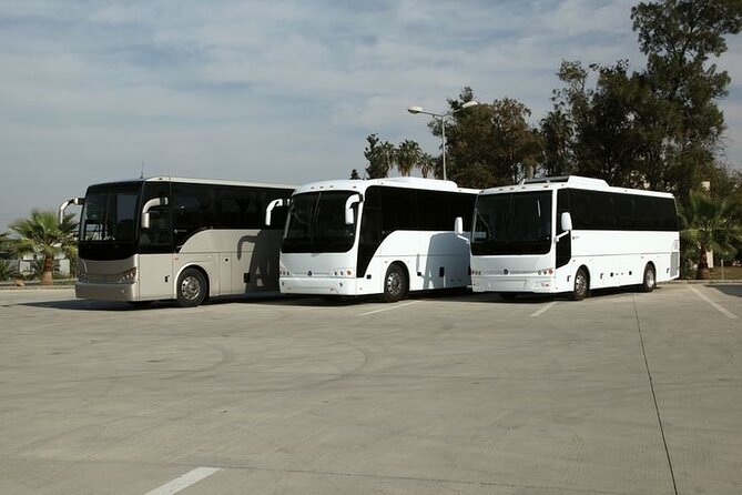Private Cruise Port Transfer from MIA Airport or Any Miami Hotel - What the driver service is like